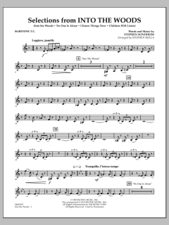 Selections From Into The Woods von Stephen Sondheim (Download) 