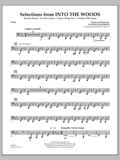 Selections From Into The Woods von Stephen Sondheim (Download) 