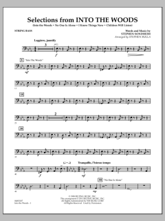 Selections From Into The Woods von Stephen Sondheim (Download) 