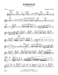 Parkour von Samuel R. Hazo (Download) 