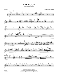 Parkour von Samuel R. Hazo (Download) 