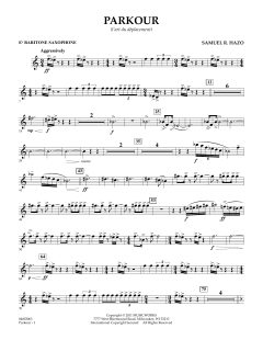 Parkour von Samuel R. Hazo (Download) 