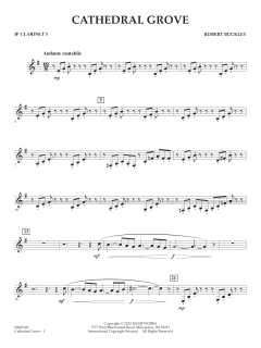 Cathedral Grove von Robert Buckley Farlee (Download) 