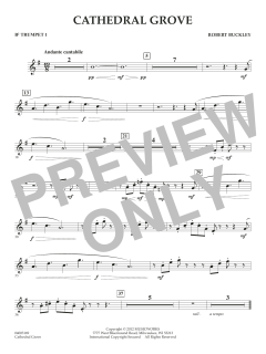 Cathedral Grove von Robert Buckley Farlee (Download) 