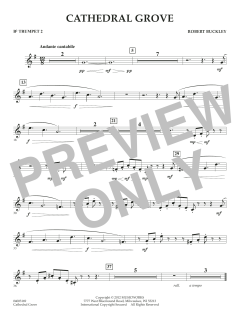 Cathedral Grove von Robert Buckley Farlee (Download) 