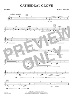 Cathedral Grove von Robert Buckley Farlee (Download) 