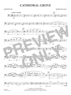 Cathedral Grove von Robert Buckley Farlee (Download) 