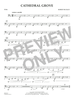 Cathedral Grove von Robert Buckley Farlee (Download) 