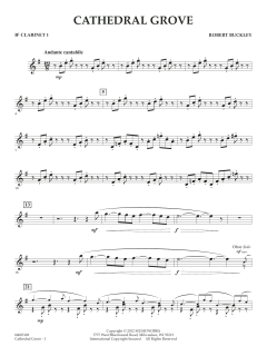 Cathedral Grove von Robert Buckley Farlee (Download) 