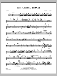 Enchanted Spaces von Samuel R. Hazo (Download) 