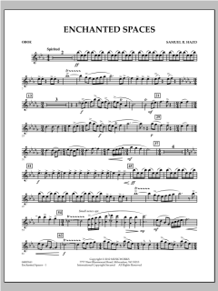 Enchanted Spaces von Samuel R. Hazo (Download) 