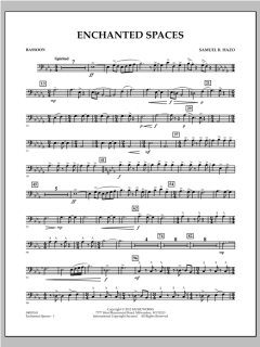 Enchanted Spaces von Samuel R. Hazo (Download) 