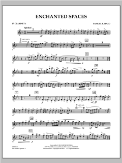 Enchanted Spaces von Samuel R. Hazo (Download) 