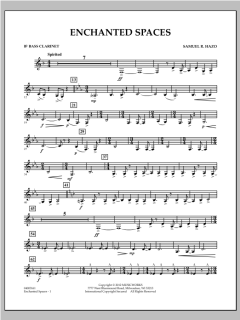 Enchanted Spaces von Samuel R. Hazo (Download) 