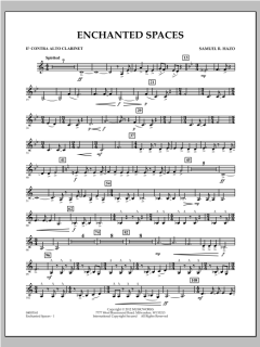 Enchanted Spaces von Samuel R. Hazo (Download) 