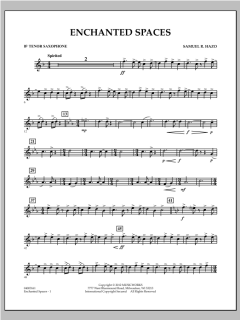Enchanted Spaces von Samuel R. Hazo (Download) 