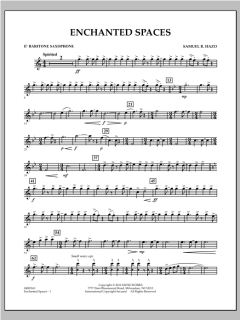 Enchanted Spaces von Samuel R. Hazo (Download) 