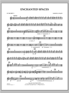 Enchanted Spaces von Samuel R. Hazo (Download) 