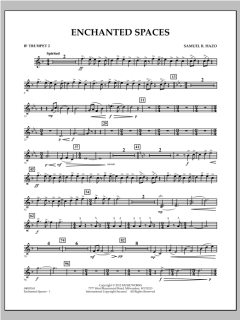 Enchanted Spaces von Samuel R. Hazo (Download) 