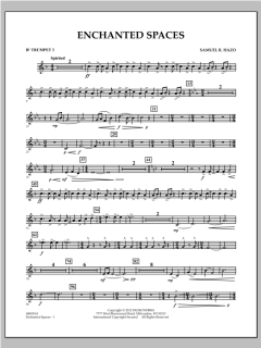 Enchanted Spaces von Samuel R. Hazo (Download) 