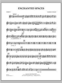 Enchanted Spaces von Samuel R. Hazo (Download) 