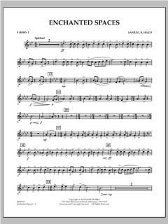 Enchanted Spaces von Samuel R. Hazo (Download) 