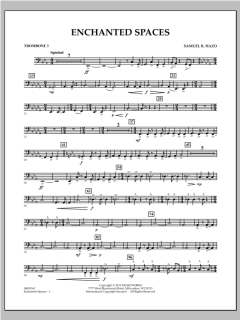 Enchanted Spaces von Samuel R. Hazo (Download) 