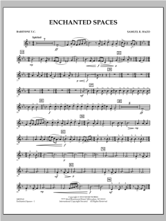 Enchanted Spaces von Samuel R. Hazo (Download) 