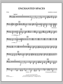 Enchanted Spaces von Samuel R. Hazo (Download) 