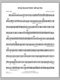 Enchanted Spaces von Samuel R. Hazo (Download) 