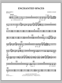 Enchanted Spaces von Samuel R. Hazo (Download) 