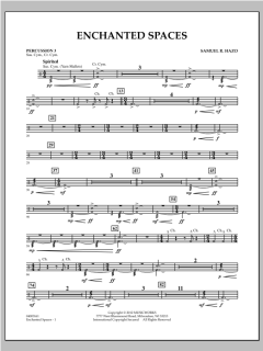 Enchanted Spaces von Samuel R. Hazo (Download) 