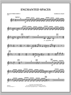 Enchanted Spaces von Samuel R. Hazo (Download) 