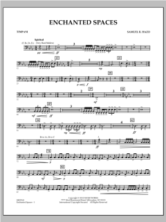 Enchanted Spaces von Samuel R. Hazo (Download) 