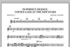 In Perfect Silence, I Often Gaze At The New Stars von Richard L. Saucedo (Download) 