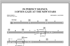 In Perfect Silence, I Often Gaze At The New Stars von Richard L. Saucedo (Download) 