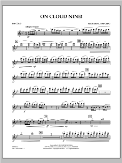 On Cloud Nine! von Richard L. Saucedo (Download) 