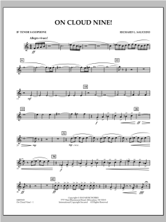 On Cloud Nine! von Richard L. Saucedo (Download) 