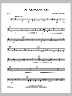 On Cloud Nine! von Richard L. Saucedo (Download) 