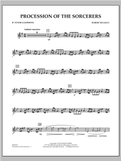 Procession Of The Sorcerers von Robert Buckley Farlee (Download) 