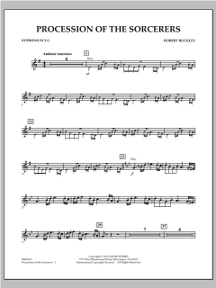 Procession Of The Sorcerers von Robert Buckley Farlee (Download) 