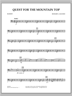 Quest For The Mountain Top von Richard L. Saucedo (Download) 