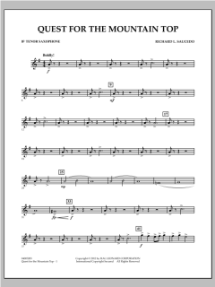 Quest For The Mountain Top von Richard L. Saucedo (Download) 