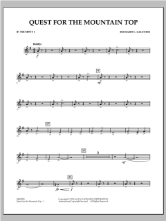 Quest For The Mountain Top von Richard L. Saucedo (Download) 