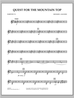 Quest For The Mountain Top von Richard L. Saucedo (Download) 