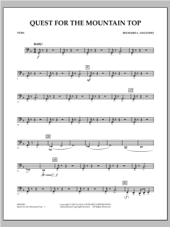 Quest For The Mountain Top von Richard L. Saucedo (Download) 