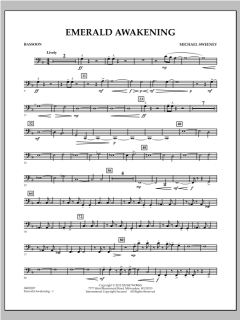 Emerald Awakening von Michael Sweeney (Download) 
