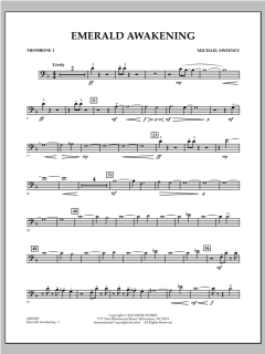 Emerald Awakening von Michael Sweeney (Download) 