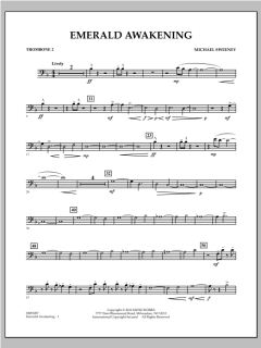 Emerald Awakening von Michael Sweeney (Download) 