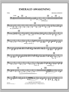 Emerald Awakening von Michael Sweeney (Download) 